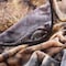 Hastings Home Heavy Fleece Blanket with Pair of Wolves Pattern 8-pound Faux Mink Blanket for Bed (74-in x 91-in) 340171QMO - alternate 2